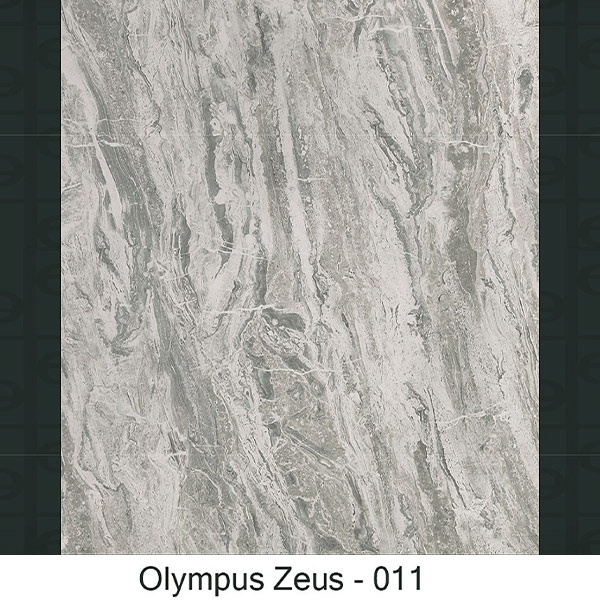 OLYMPUS ZEOS - 011