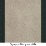 OLYMPUS DIONYSUS - 014