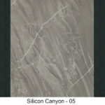05 - SILICON CANYON