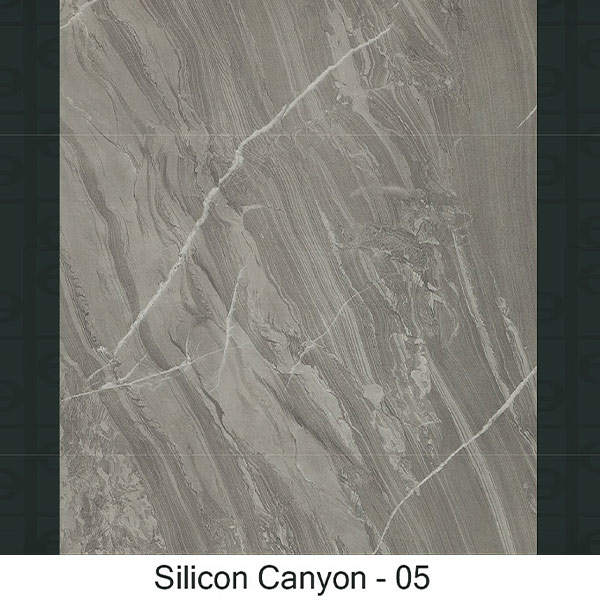 05 - SILICON CANYON